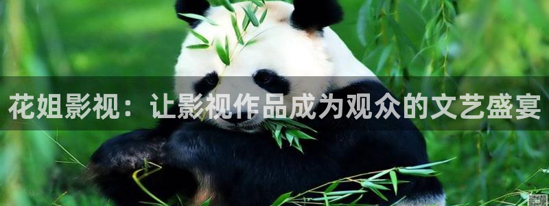 飄雪影院在線觀看完整版免費高清：花姐影視：讓影視作品成為觀眾的文藝盛宴